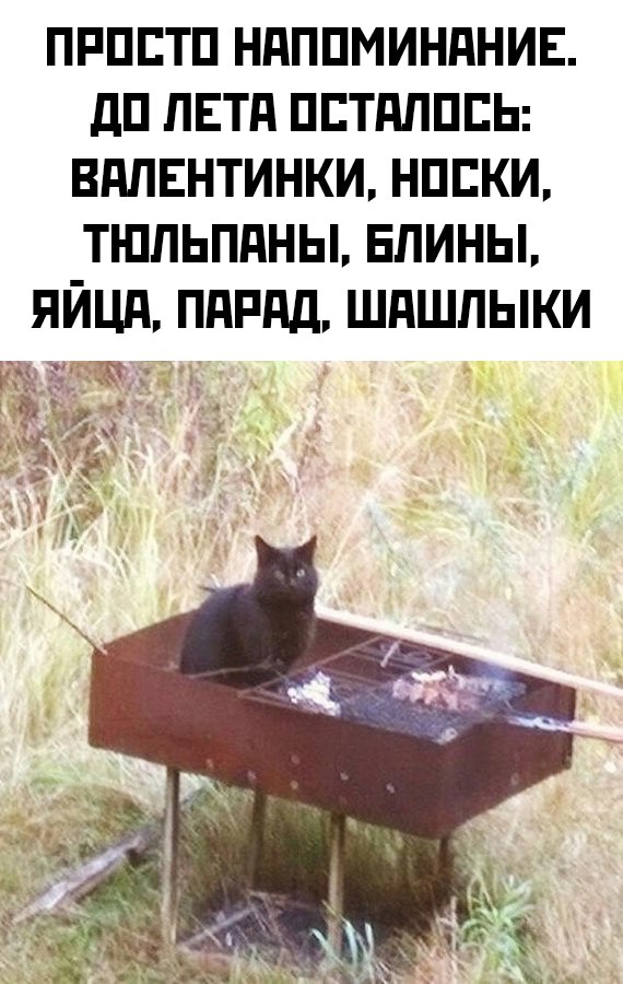 Веселые картинки в пятницу (07.02)