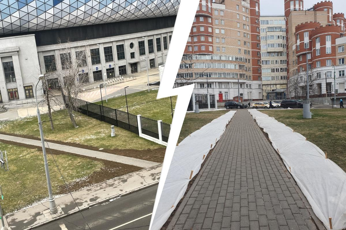 Москвичи задыхаются от навоза