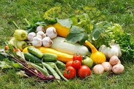 Убьют ли заморозки урожай? Фермеры подсчитывают потери