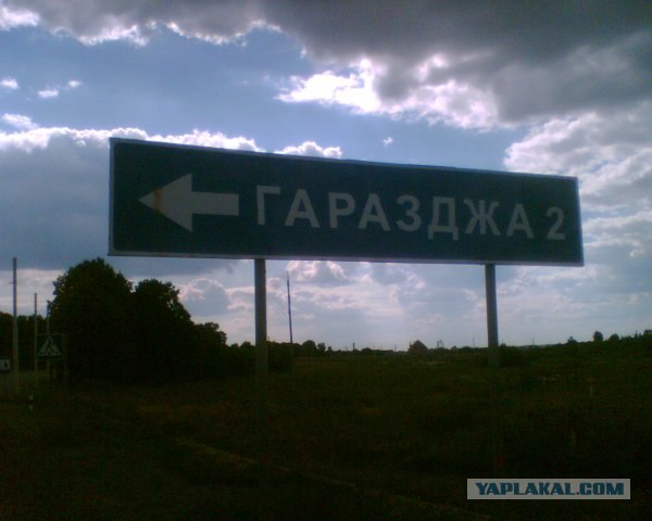 Дикие фото из социальных сетей