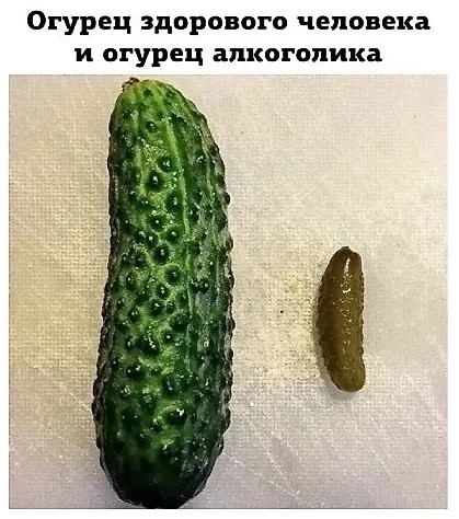 Веселые картинки в пятницу (25.07)
