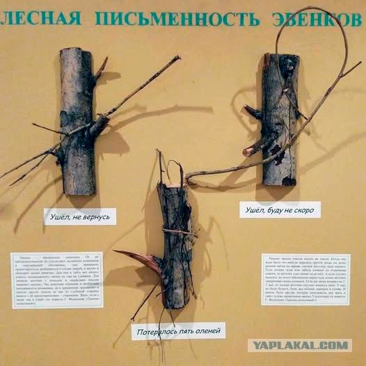 Надписи, объявления и прочая дичь