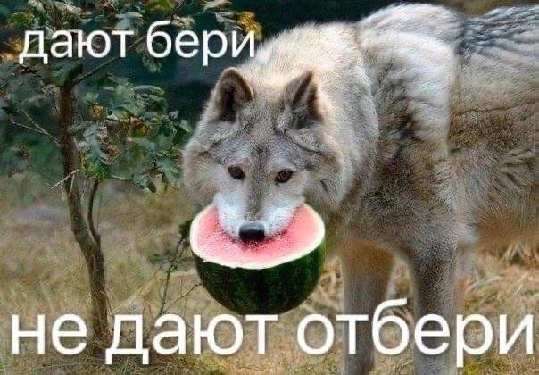 Веселые картинки в понедельник (15.09)