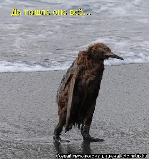 На Гран-при Монако в 2006 году машина Кими Райкконена загорелась