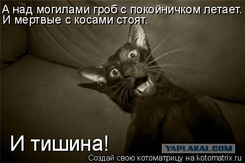 Ты же мертв