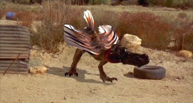 Насрал и улетел