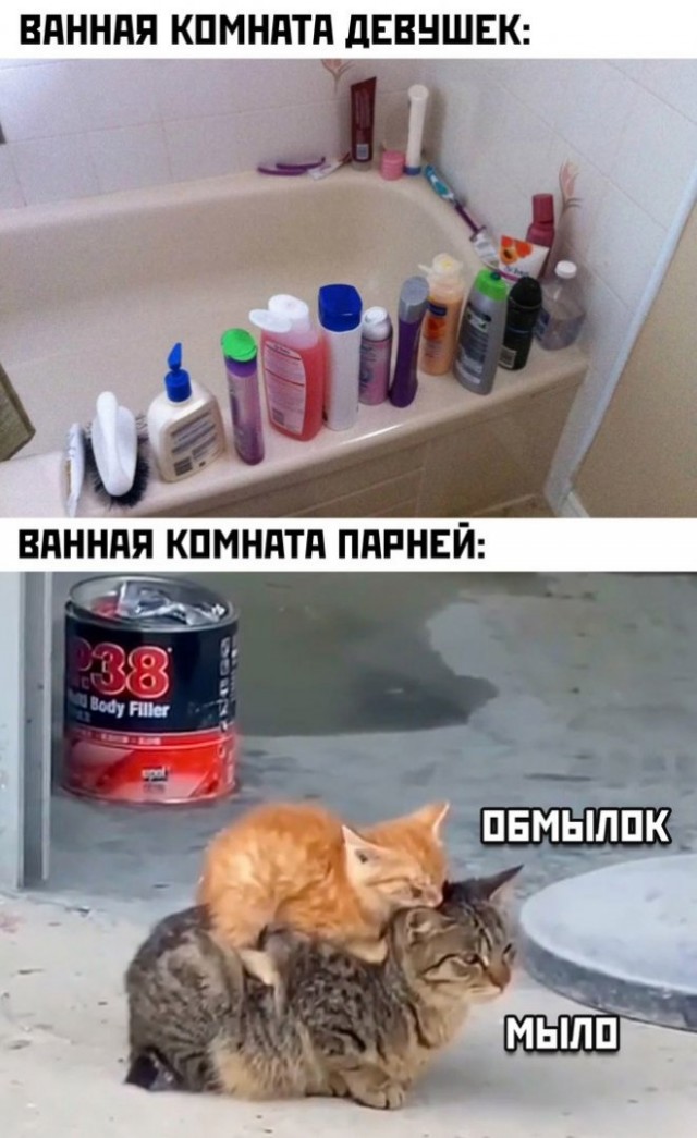 К котовторнику: подборка картинок-баянов с котиками и про котиков. Выпуск 25.