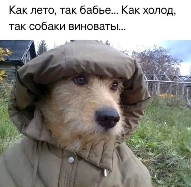 Максимально *зачёркнуто*