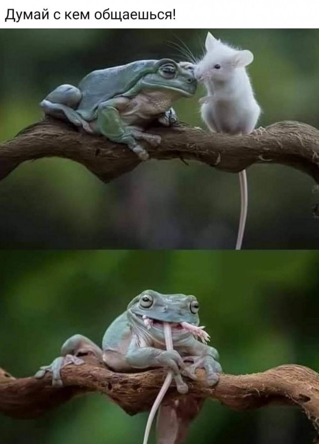 Сам попросил...⁠⁠