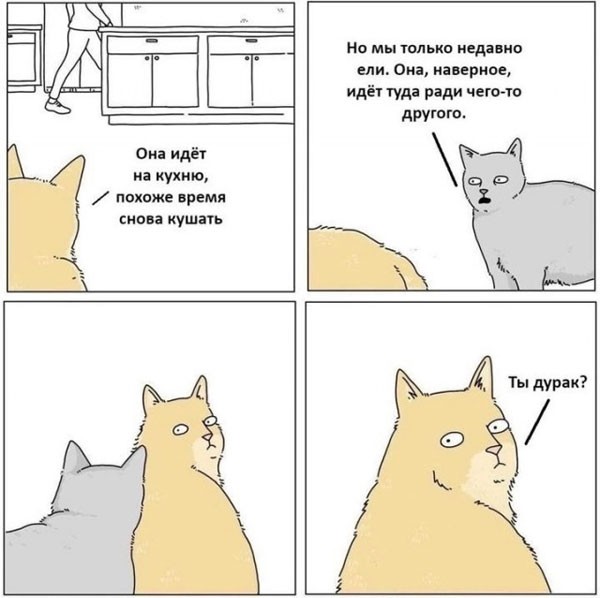 Средятница