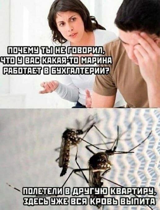 Картиночки, баянчики 18 июня