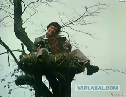 «Обломал немало веток»