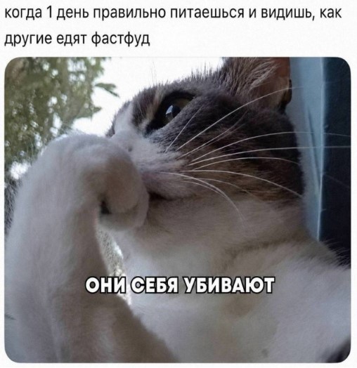 Картинки для деградации 260 (разной степени свежести)