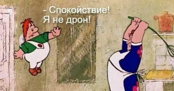 Сикорский и Астрид Линдгрен