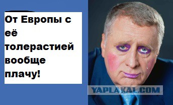 Владимир Вольфович негодует