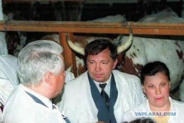 Весёлые картинки. Разбавим будни