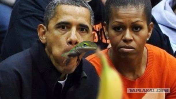 Друзья прислали с отпуска...