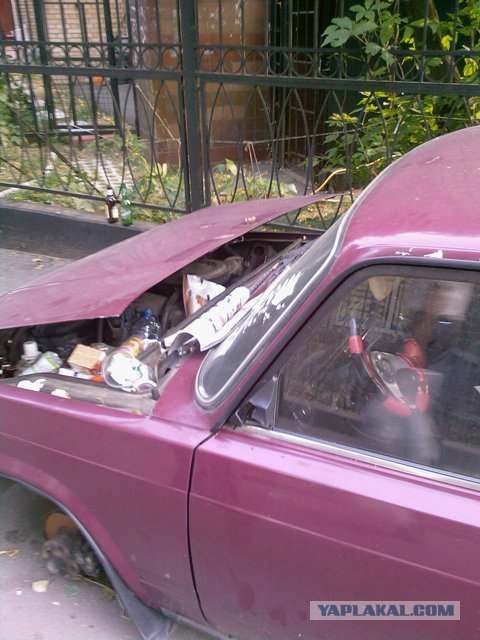 6 фоток с карты памяти