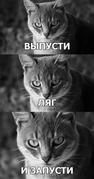 Убью гада, и ничего мне не будет