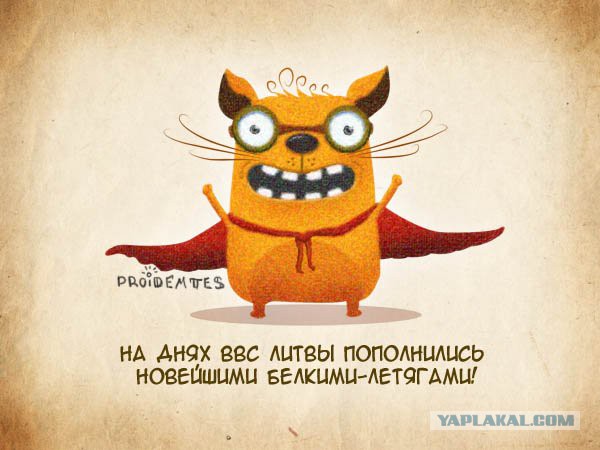 Двое летунов пролетели над землей с горы