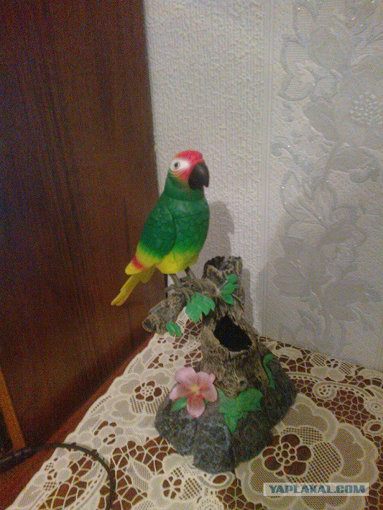 Жорик влюбился