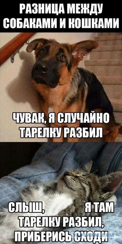 Буду краток