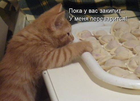 Очередные картинки и высказывания из сети