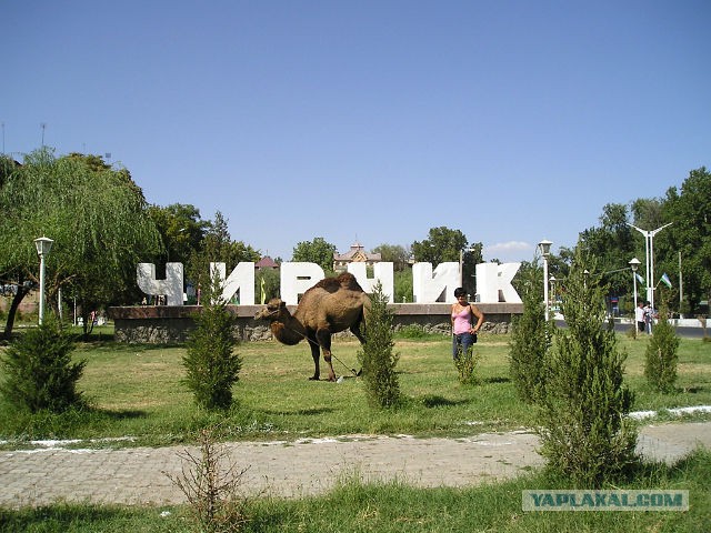 http://s00.yaplakal.com/pics/pics_original/7/4/3/4862347.jpg