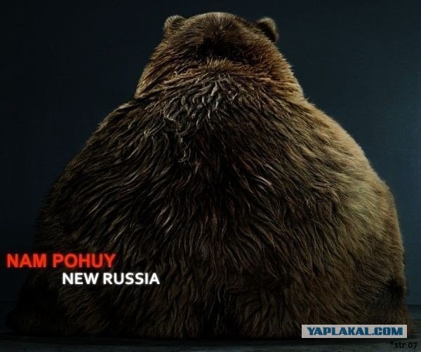 Когда уже совсем довели
