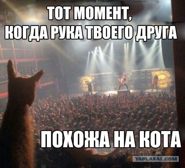 Смешные комментарии 08.03.2015