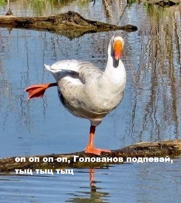 Чемпионат Мира по хоккею 2015 часть 3