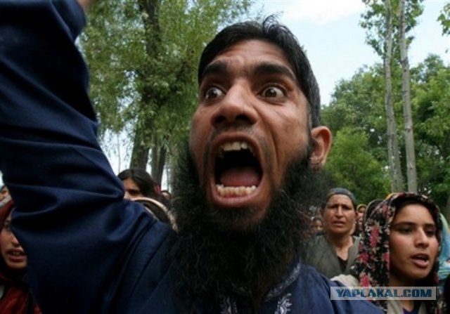 Мысли под никабом