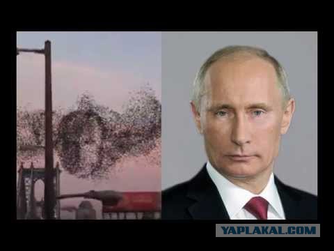 Чье лицо?