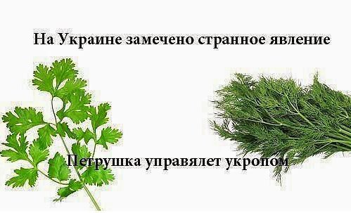 "Героям майдана" в Украине - почет и уважение.