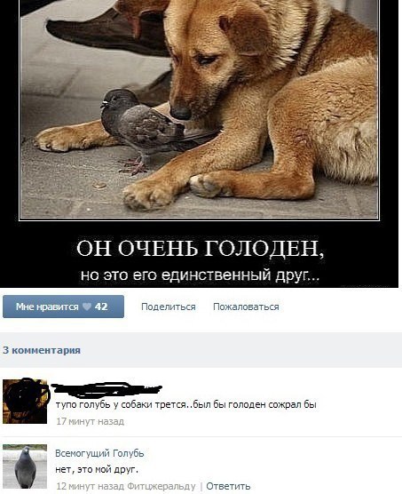 Ужасы и приколы из соцсетей 18+