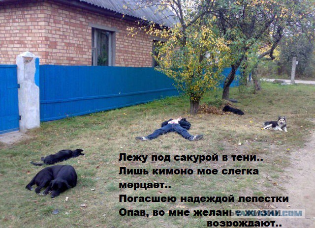 Между тем, Россия