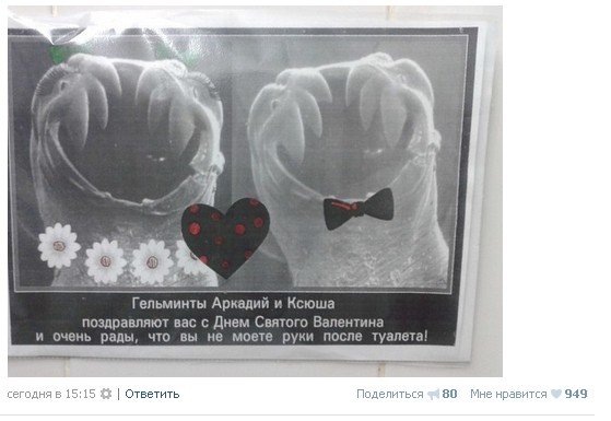 Ужасы и приколы из соцсетей