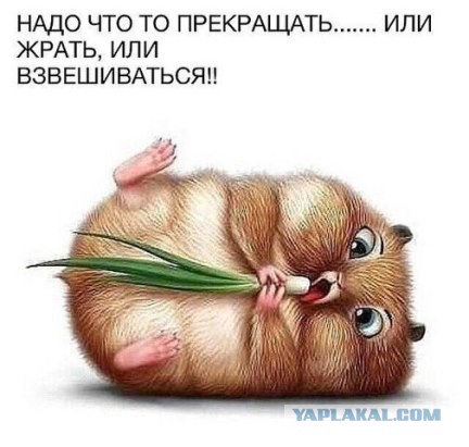 Девушка, сбросившая 60 кг за два года