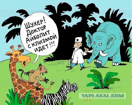 Студент и не предполагал, какую тему они будут проходить на следующей практике!