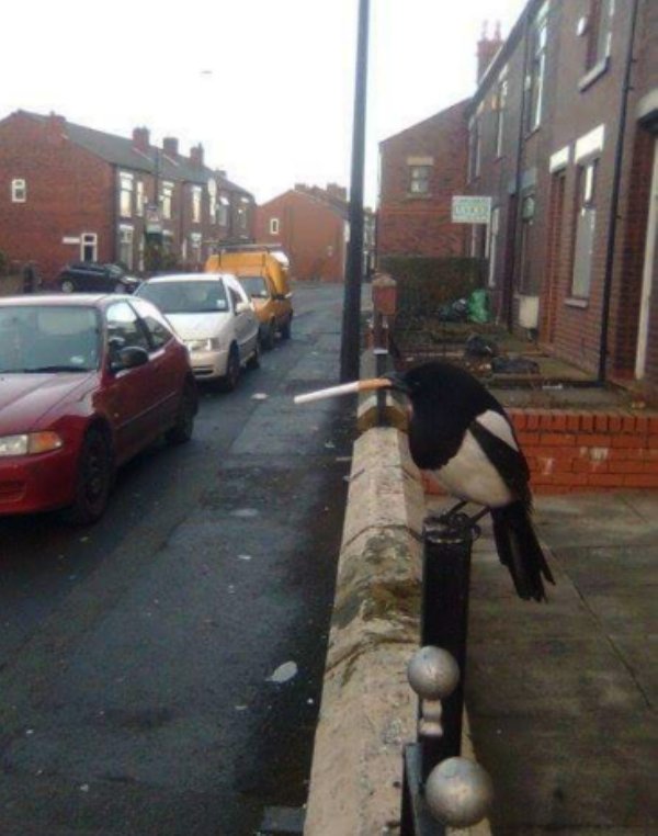 WTF: Что тут происходит?