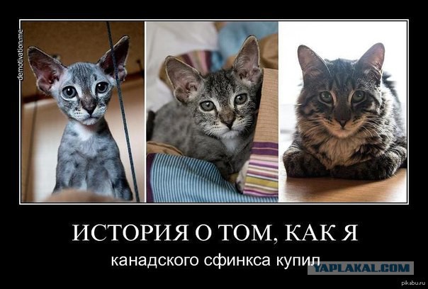Для поднятия настроения.