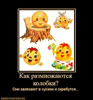 Смешные комментарии из социальных сетей 10.06.2016