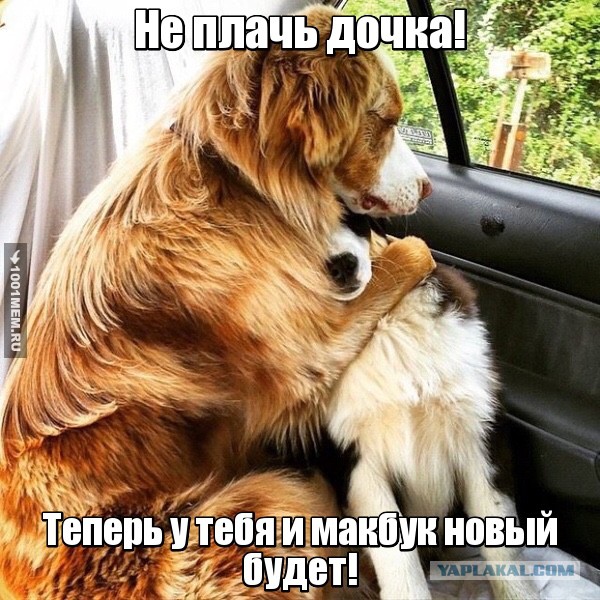 "Подруга подкинула проблем"