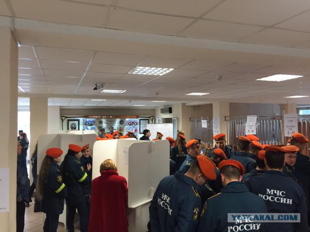 В России начались выборы в Госдуму
