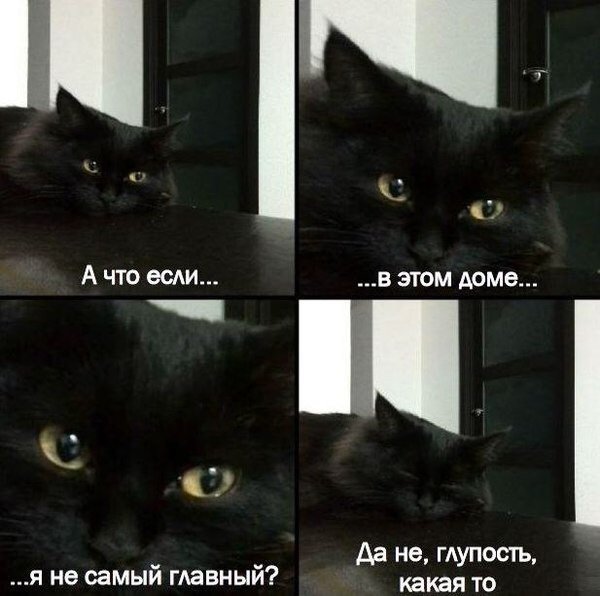 Разные картинки из сети