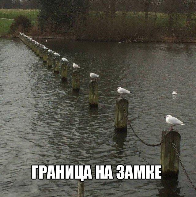 Картинки, весело, чернуха, не везде.