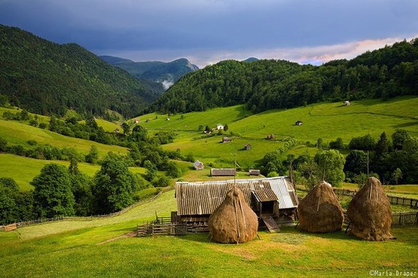 Моменты, запечатлённые на фото и просто позитив 5