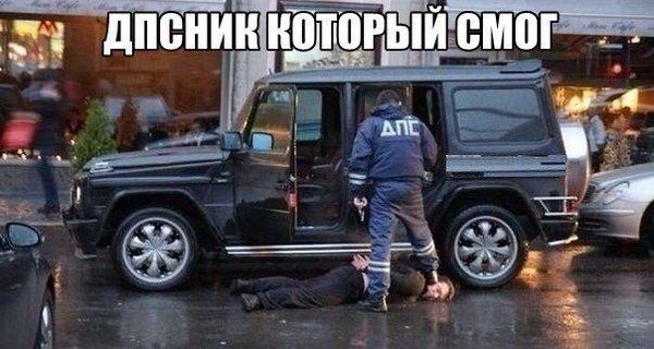 Подборка безудержного веселья