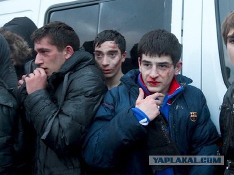 Крокодил, замотанный скотчем, и избитые обезьяны - в Псков приехал зоопарк