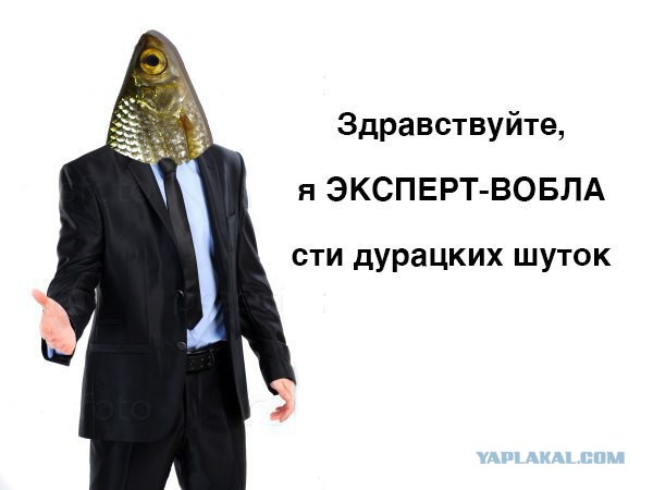 Чернь и деградация к выходным